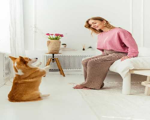 <b>辽宁三代试管婴儿花费太高了，附影响试管费用主要因素</b>