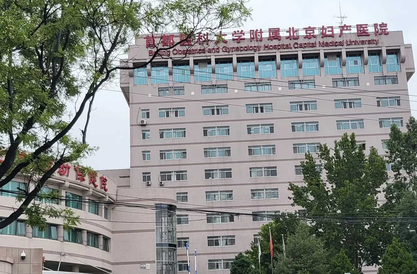 <b>95年试管之路（二）,代孕可靠不</b>