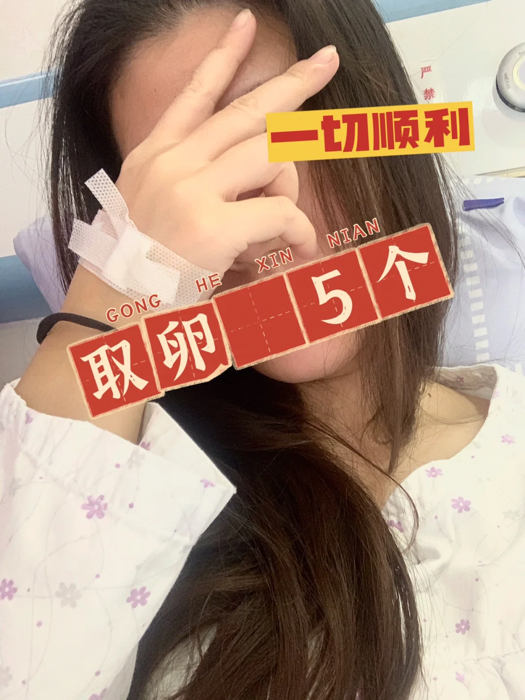 <b>试管日记6.12｜取卵完成✅,国内供卵试管的成功率&正规供卵代孕公司</b>