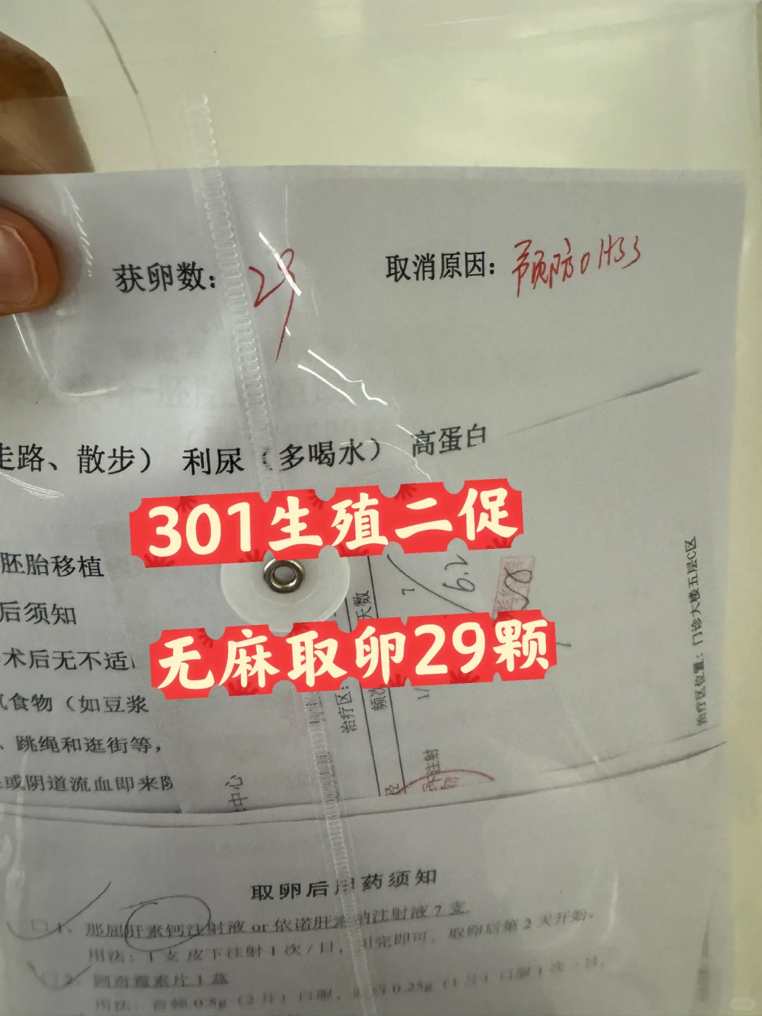 <b>301生殖二促 无麻取卵,美国单身可以代孕吗？&哪个地方的代孕费最高</b>