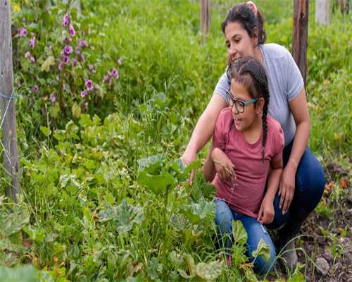<b>供卵生小孩-大连医科大学附属第一医院做试管技术怎么样？</b>